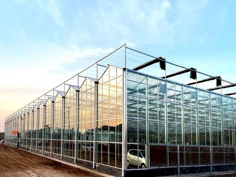 玻璃溫室